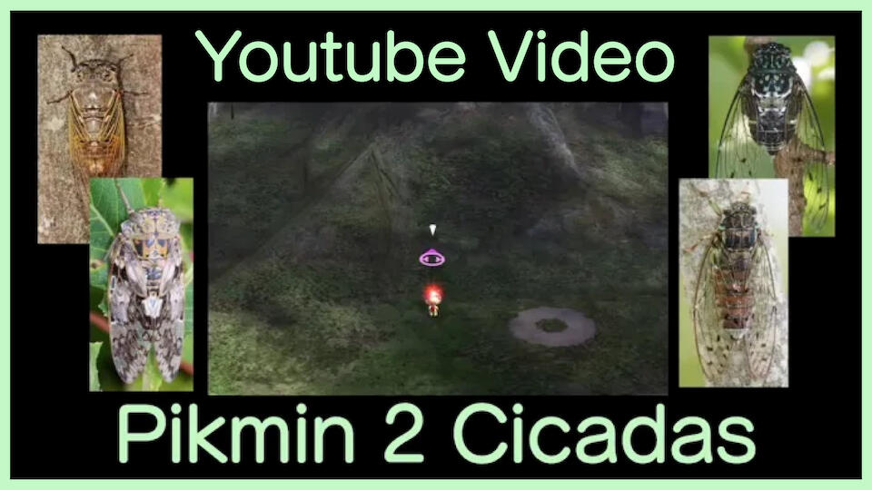 The Perplexing Pool and its lil' buzzing buddies!